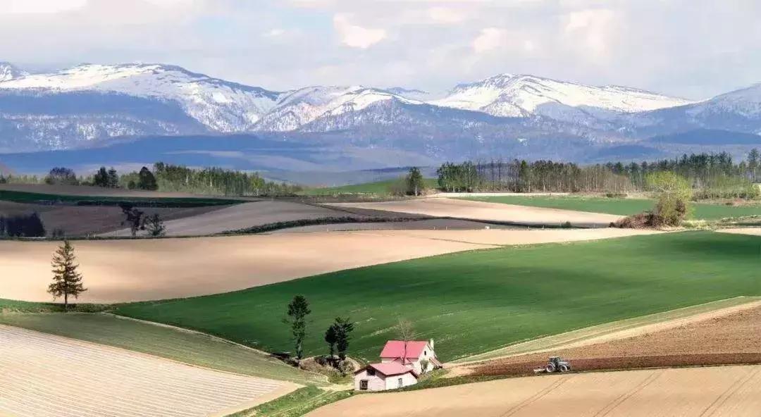 日本旅游吃饭攻略,日本游美食必购清单
