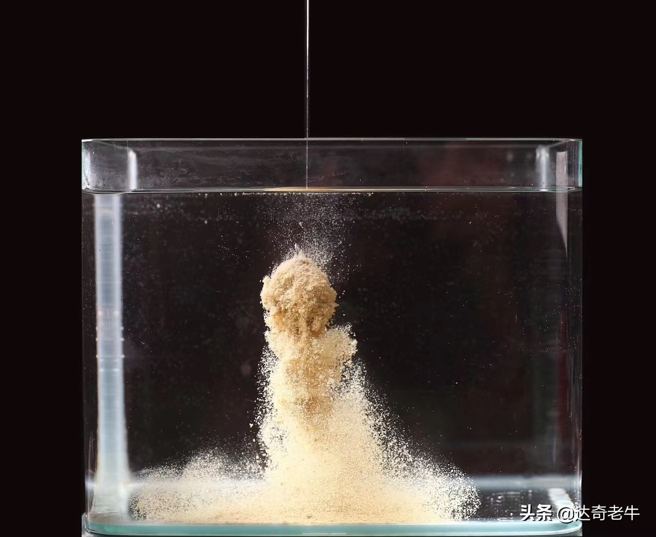 散炮钓底怎么开饵,散炮饵配方大全