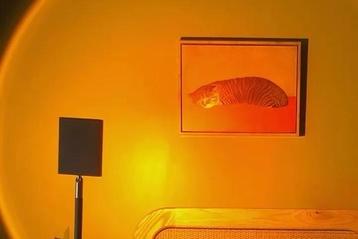 双11给喜欢的人什么礼物好,双11有必要给对象送礼物吗