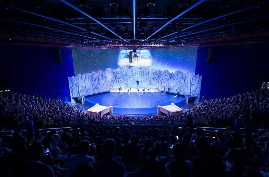 珠海长隆海洋王国建造,珠海长隆海洋王国海底房顶