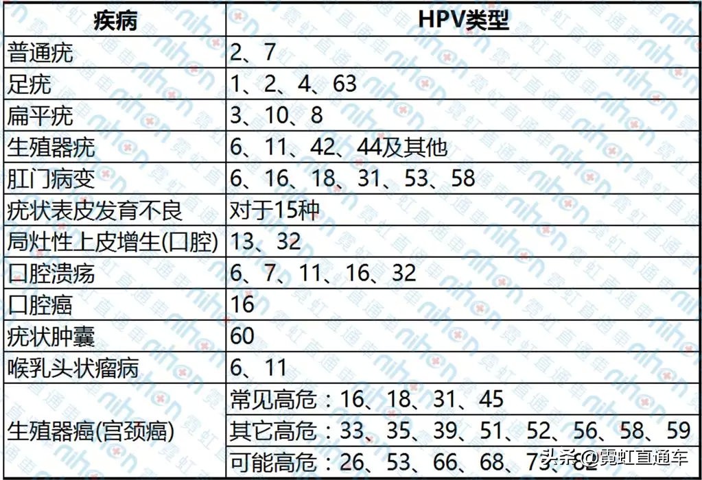 宫颈癌筛查tct和hpv分别代表什么,查宫颈hpv和tct先查哪一项