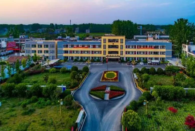 阜阳一7万人的小镇,靠种植桔梗发家致富,现已位列全国名镇榜单