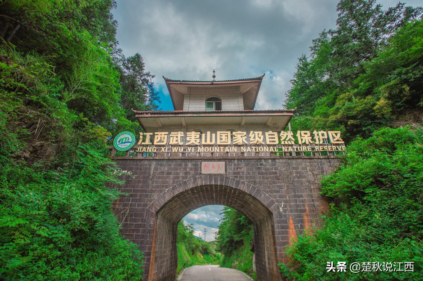 江西武陵红茶,江西最好的红茶