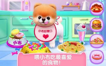 世界上最萌的狗狗去世,全国最长寿的狗狗去世