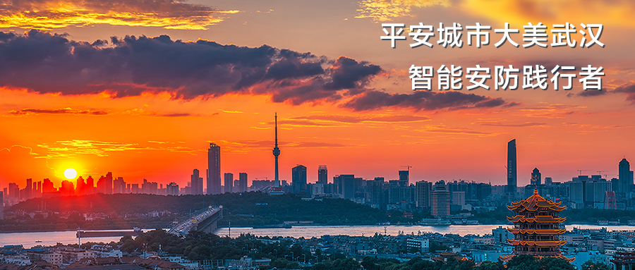 智慧城市智能安全监控,平安城市无线视频监控系统