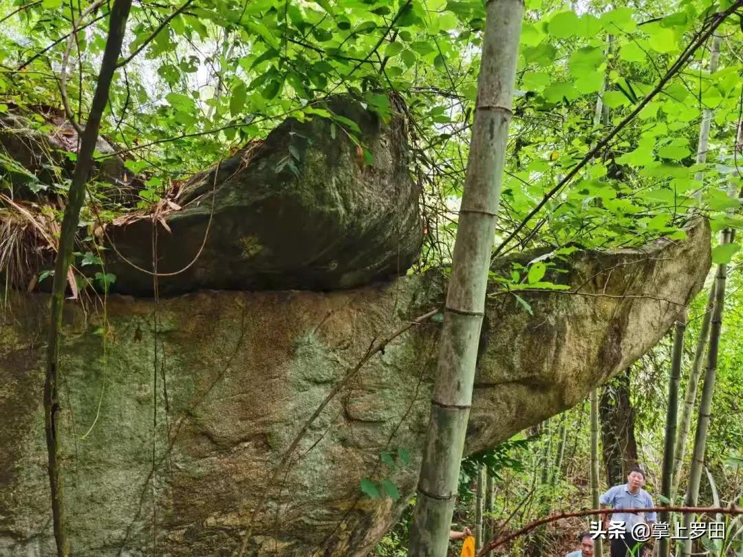 梦里是江南水乡，没曾想，却恋上罗田这个村