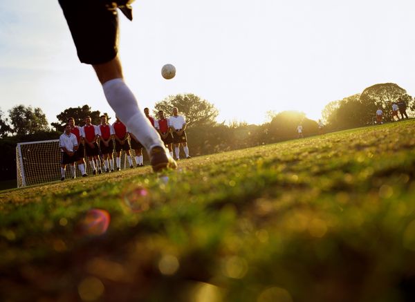 云南省2020年体育统考,2020年云南体育统考分数段位次表