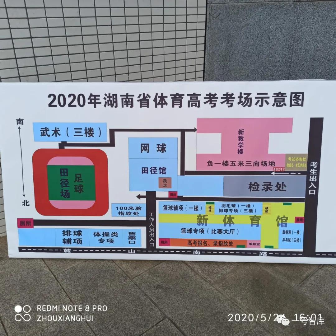 「一号智库」现场直播:体育专业统考来了