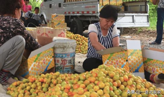 疆内水果品种大全,南疆超级甜水果