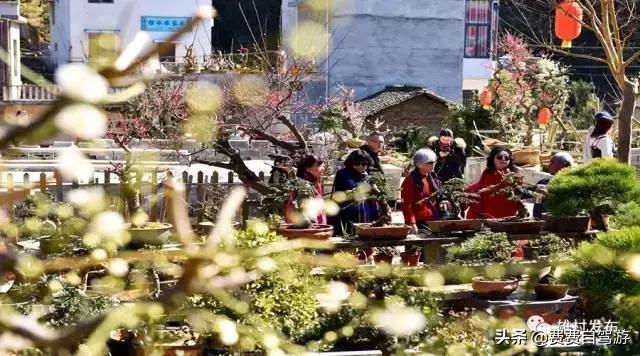 3月皖浙一号公路自驾攻略,浙皖一号公路周边自驾游