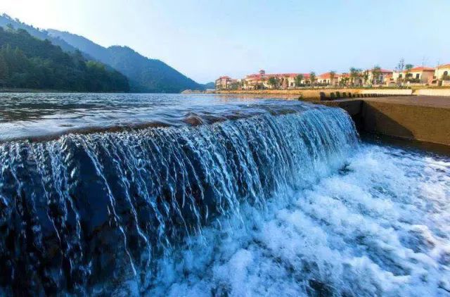 ¥599/套起!栖息30只孔雀!竹海环绕避世酒店竟全部用竹子造