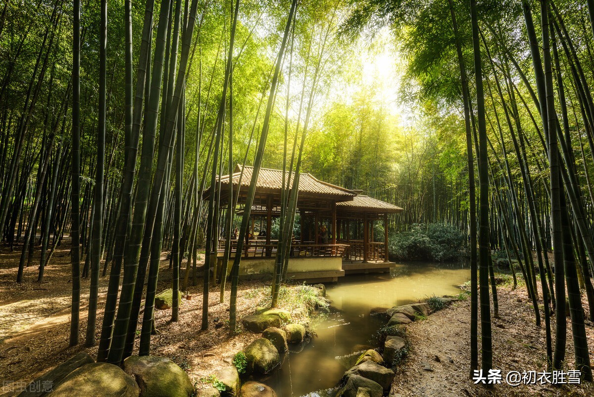 白居易古诗夏,白居易夏日绝句