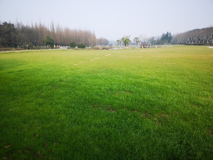 宜兴竹海游和龙背山森林公园游记