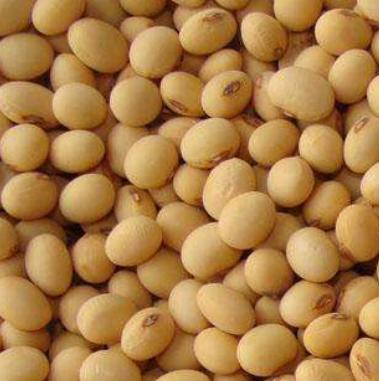 香酥黄豆怎么炸又酥又脆,炸黄豆泡不泡水