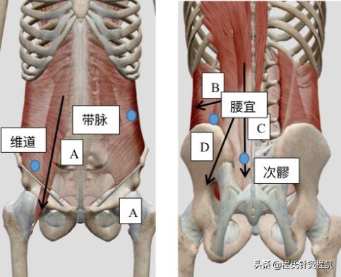 中医专长针灸治疗腰痛视频,中医针灸治疗腰痛医案