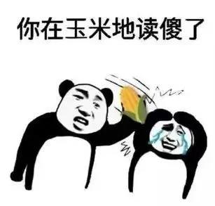 综排不高，但专业牛！中国学生最爱的玉米地神校，不该被低估