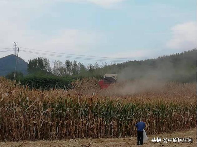 方城拐河镇党建引领,助力乡村振兴共同富裕