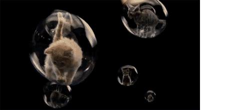 让你心动的搞笑图片,搞笑gif笑死人的动图