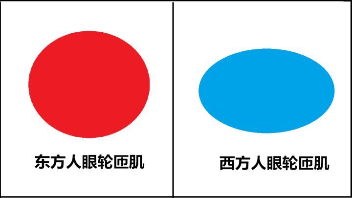 欧式大双眼皮和平行双眼皮,醒醒吧明智的放弃胜过盲目的执着