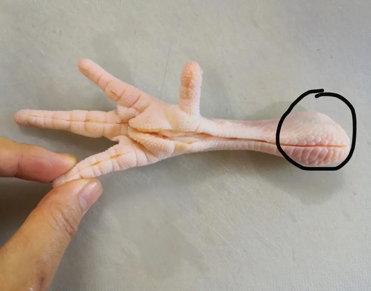 软烂脱骨鸡爪的做法,脱骨鸡爪煮法