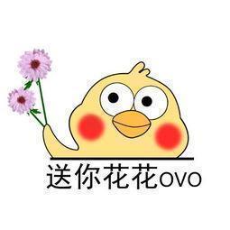 鲜花蔫了怎么做干花,怎样才能让鲜花做成干花永不褪色