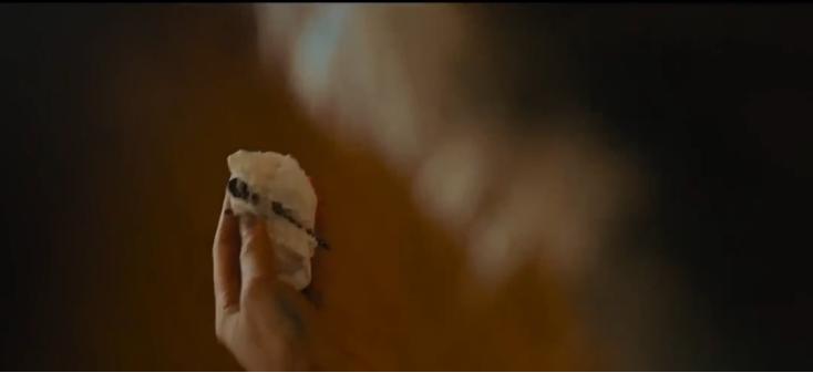 全裸出镜？*伦乱**产子？全程马赛克才能播的戛纳金棕榈