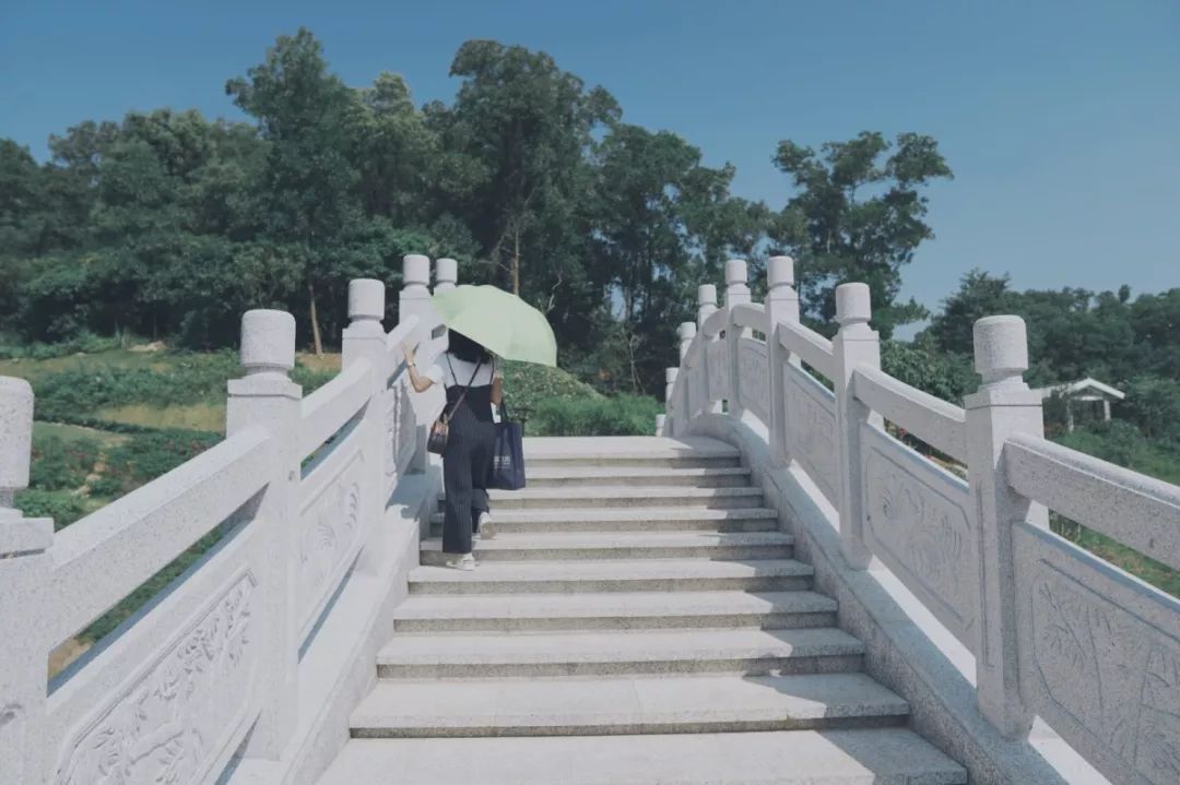 人少还免门票！深圳这片5000000㎡新公园美翻了，“神仙花谷”