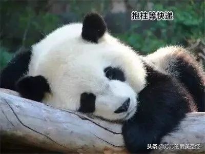 开箱双十一第一弹,开箱双11