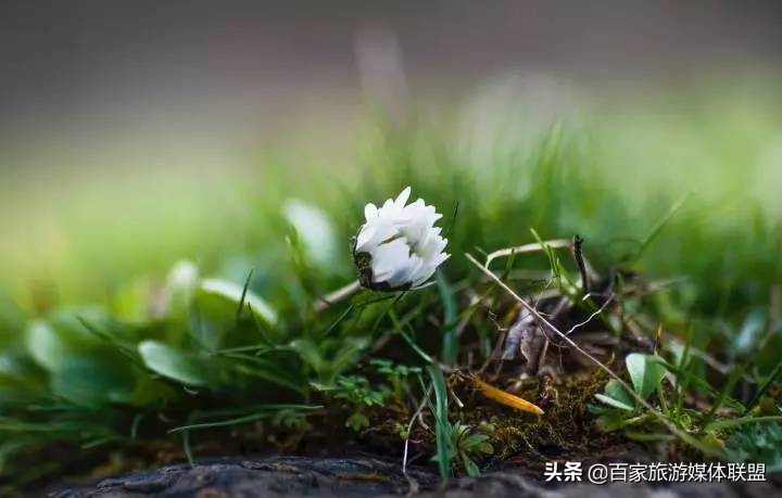 中国各城市的别称大全,中国各大城市的别称