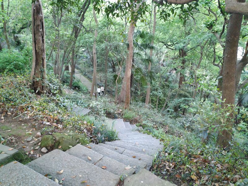 林逋隐居西湖孤山,林逋隐居杭州孤山阅读答案