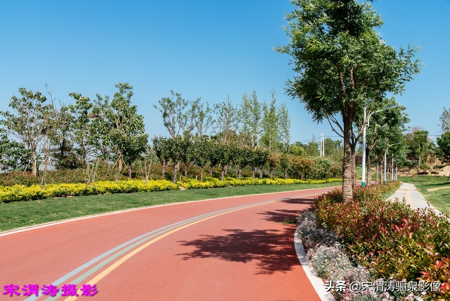 健身休闲绿道,临渭区渭河南堤渭河生态运动公园