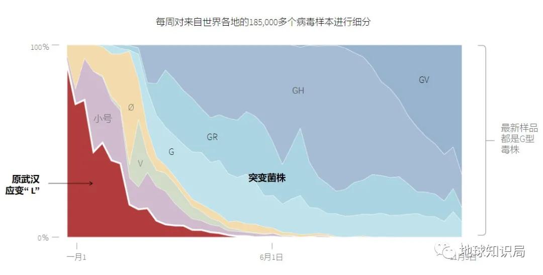 英国又发现一种新冠变异病毒,英国变异病毒严重性