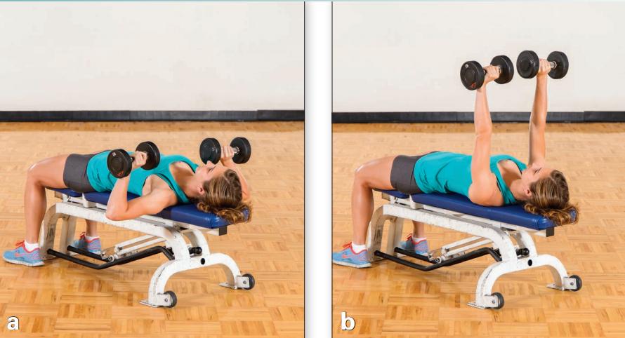 力量训练一周6练训练计划,一天练三个部位的力量训练