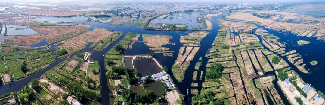 国民硬菜,国民硬菜土豆丝