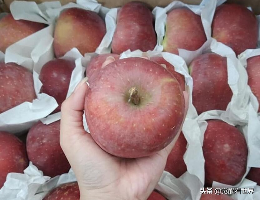 越南网友评论中国水果,越南网友评论越南水果滞留关口