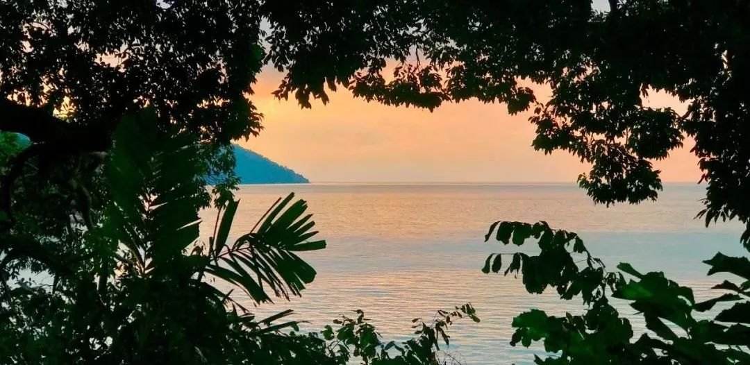 槟城慢时光完整视频,马来西亚值得看的经典建筑