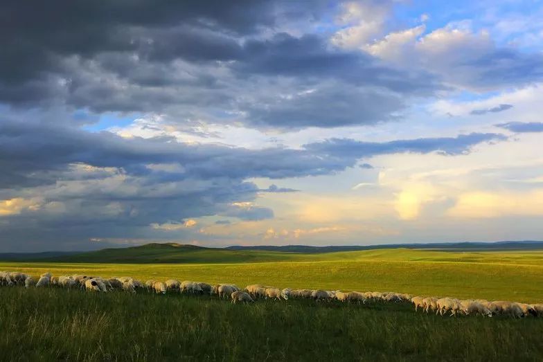 内蒙除了草原还有啥,推荐内蒙古的呼伦贝尔大草原