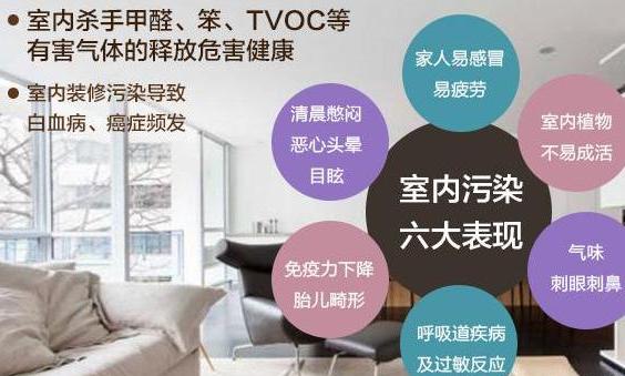 除甲醛专业的公司哪家比较好,除甲醛产品哪家专业一点