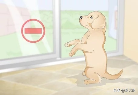 夏季如何辩认跳蚤的咬痕