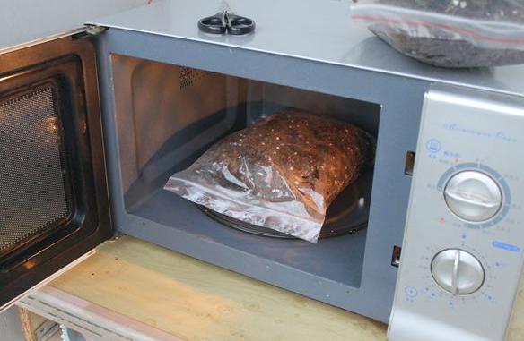 养花怕招虫子怎么办,养花怕蚂蚁怎么办视频教程