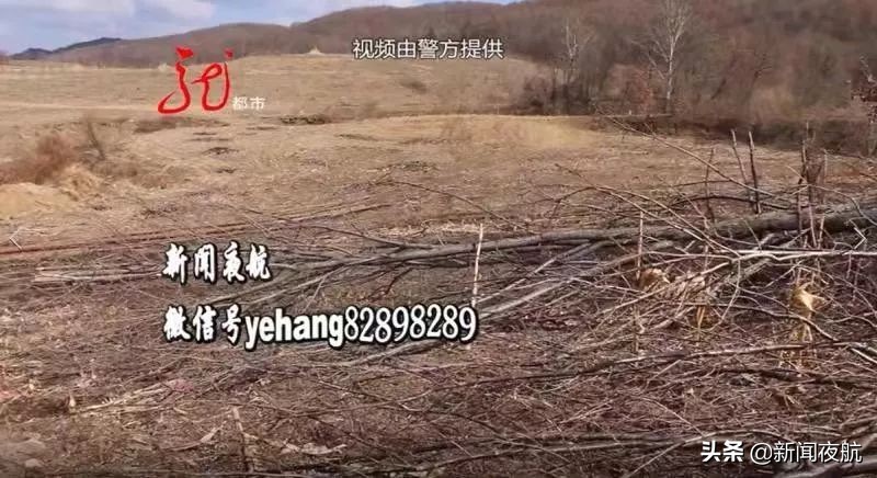 派出所现场查获一起盗伐林木案件,公安破获一起盗伐林木案件