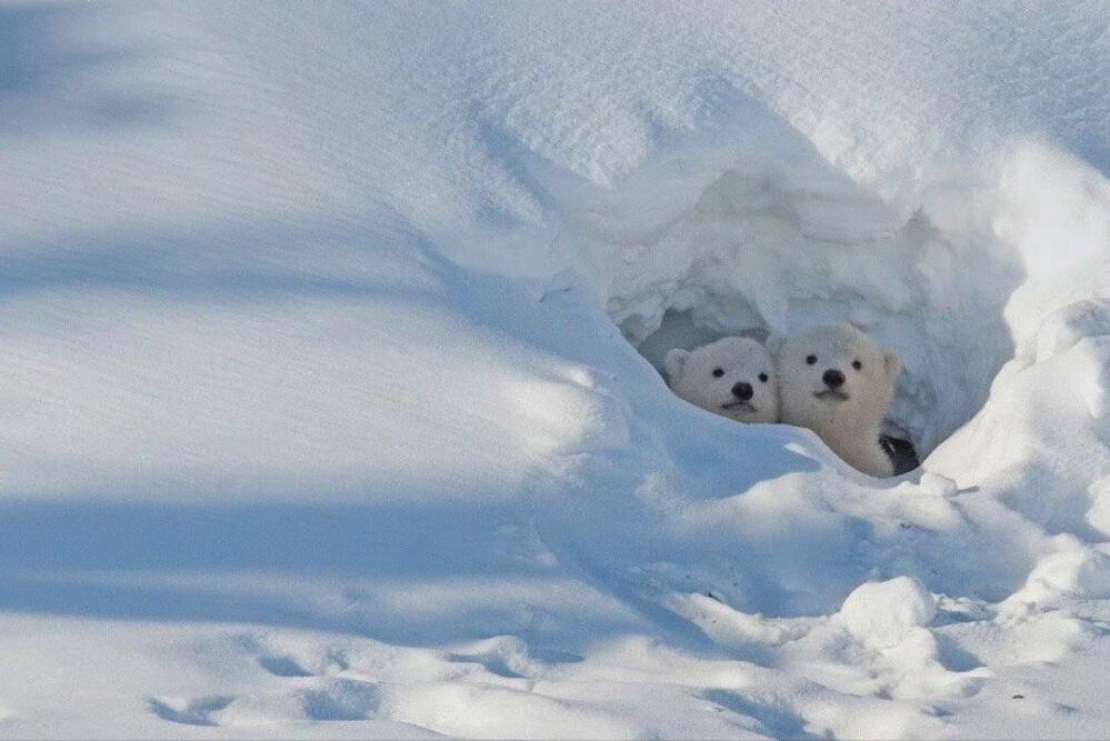 不懂感恩没有情义的三大星座,人品最好最值得深交的五大星座