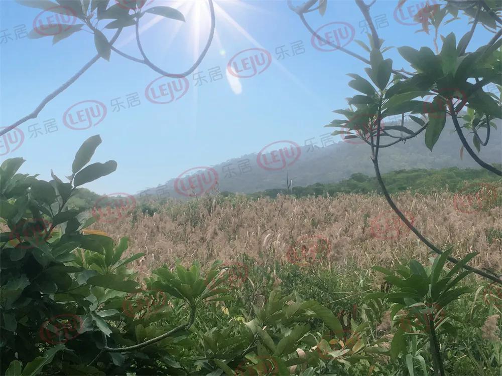 珠海有什么看海的景点好玩儿,珠海附近看海一日游推荐