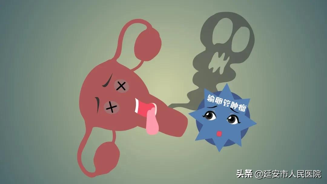 张进医学专家视频,张进良教授还原疗法视频