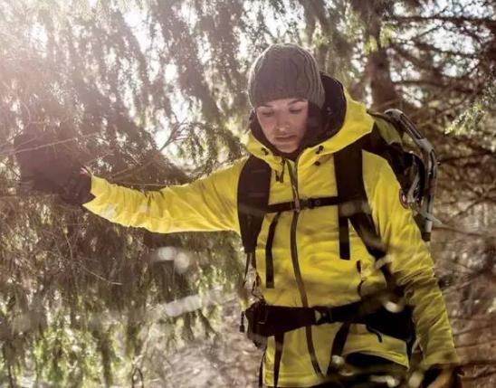 为什么加拿大鹅羽绒服这么贵,国内什么羽绒服能媲美加拿大鹅