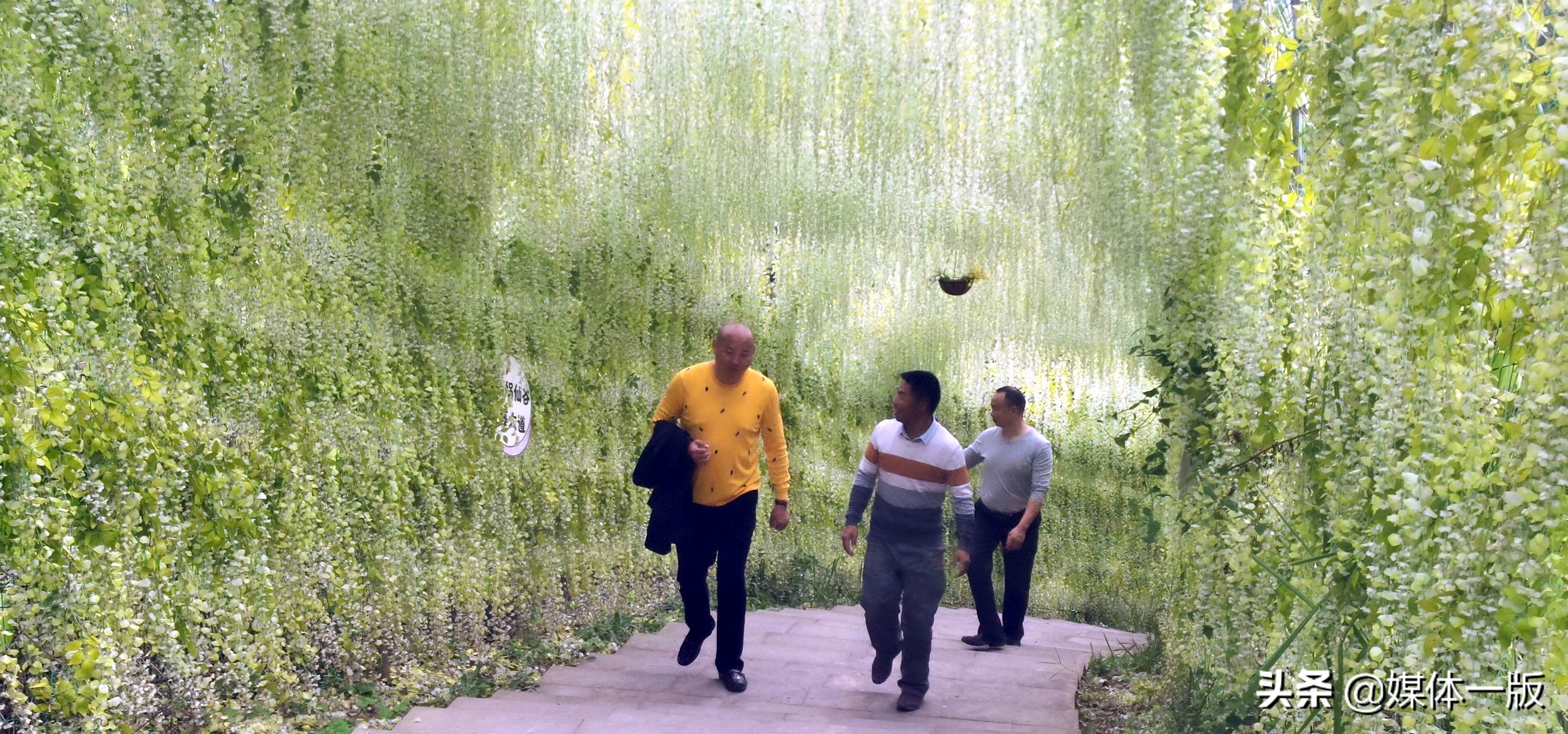 金秋季节到大自然走走,金秋十月去欣赏大自然的美丽风景