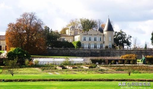 法国葡萄酒品牌前十名,世界顶级的十大红酒酒庄
