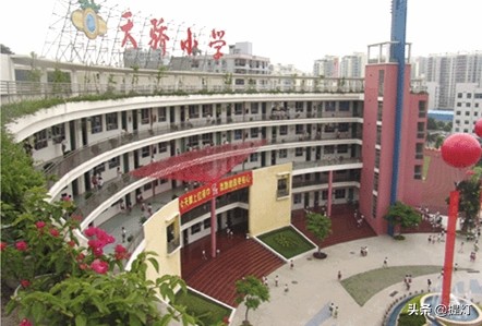 深圳小学小升初排行,深圳宝安区小学排名