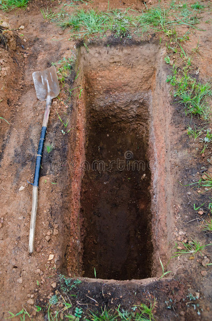 守门员老林的悲惨故事,小说