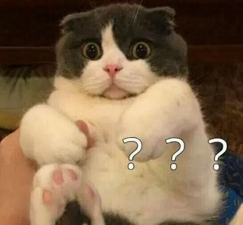 家长群里的宫斗视频,家长群里互怼聊天记录